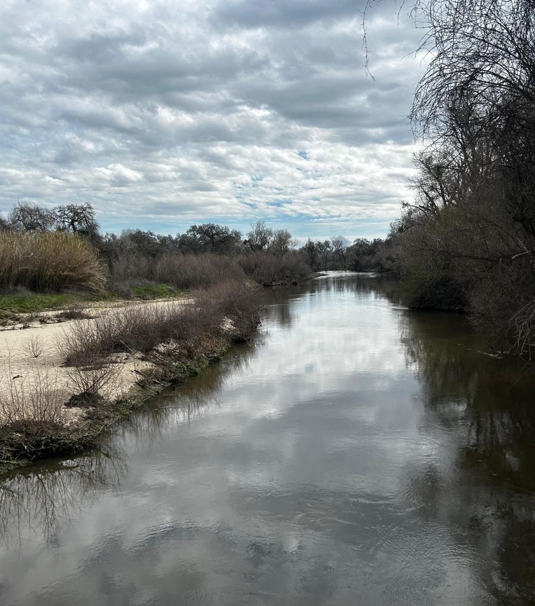 River flowing between tree-lined banks under a cloudy sky
