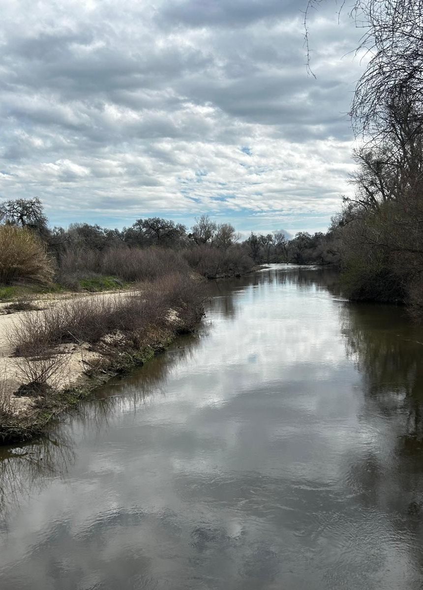 Calm river between grassy banks and bare trees under a cloudy sky