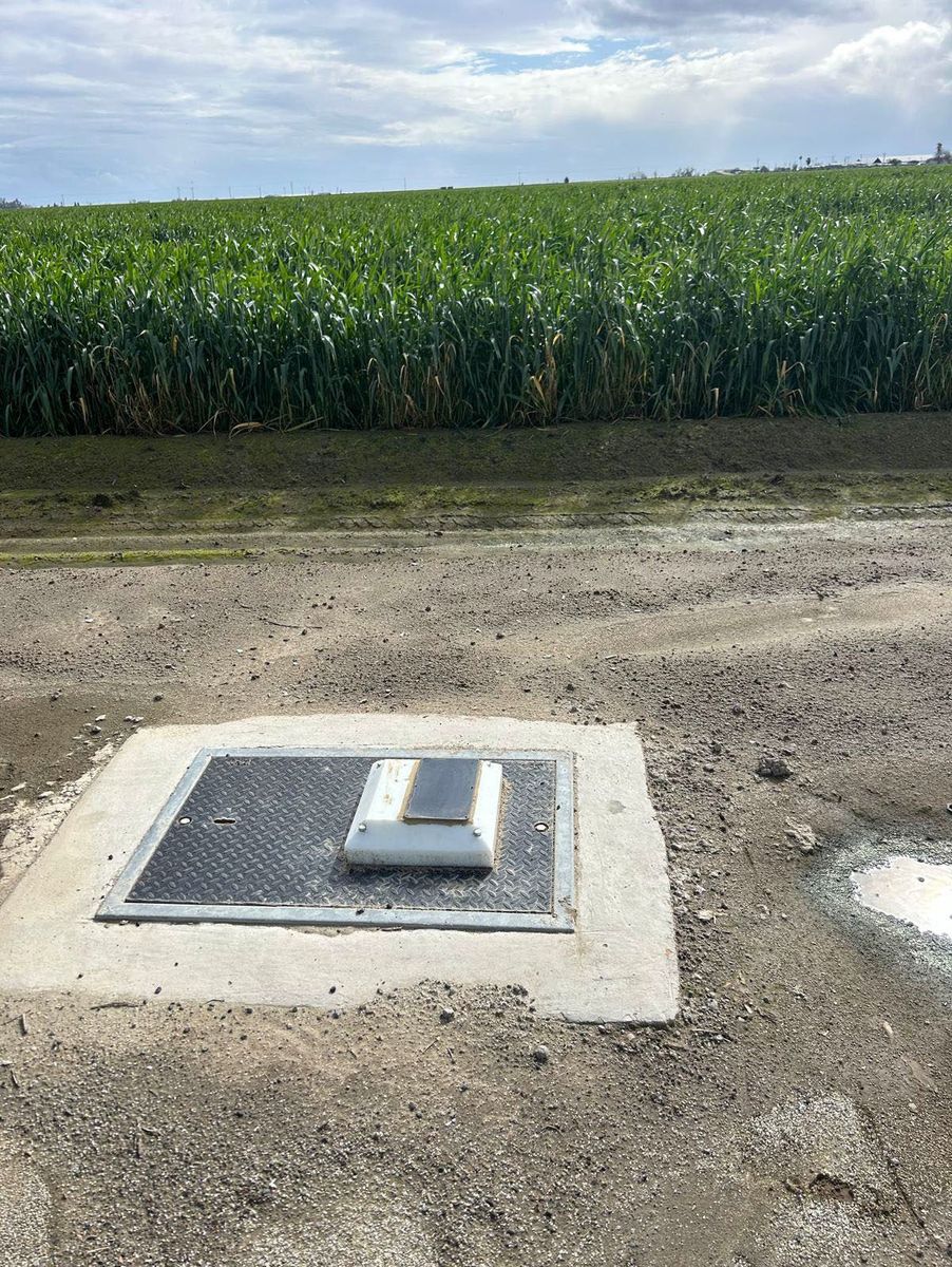 Flush in-ground vault cover installed at the edge of a crop field